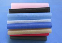 沙坡头涤纶（PET）无纺布是什么