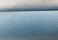 沙坡头(PP)丙纶无纺布跟(PET)涤纶无纺布的区别